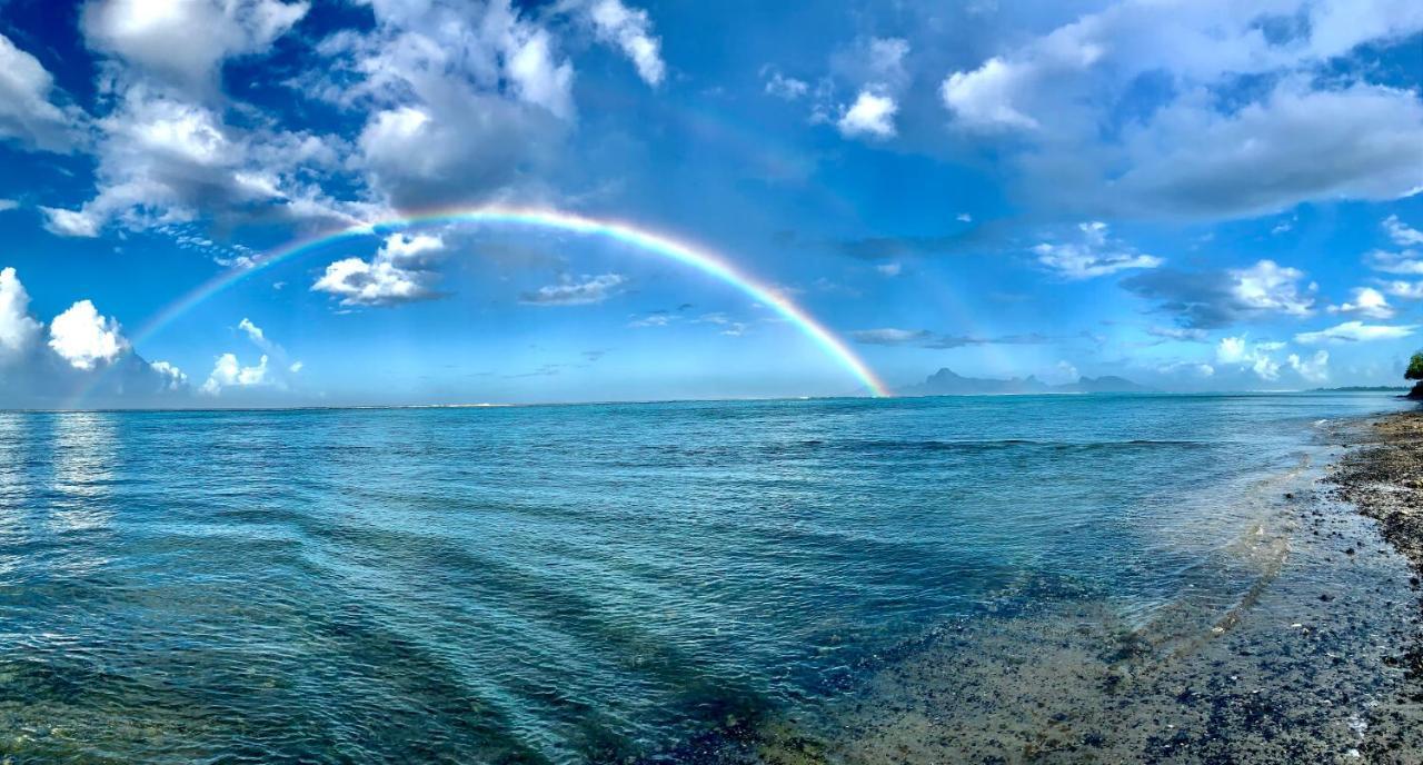 Superbe Bord De Mer, Acces Lagon Et Piscine Privee Paea Екстериор снимка